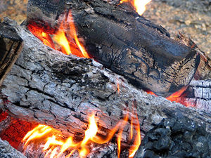 300px-Firewood_burning